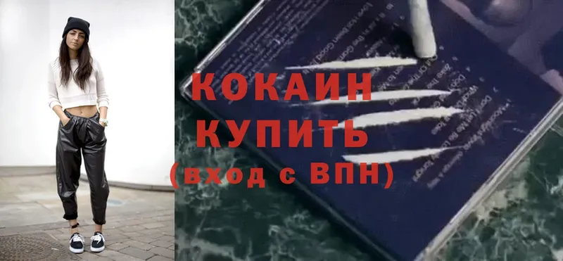 COCAIN Fish Scale  магазин продажи наркотиков  Камызяк 